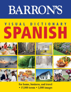 ``Rich Results on Google's SERP when searching for 'Barron’s Visual Dictionary Spanish Book'