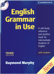 ``Rich Results on Google's SERP when searching for 'English Grammar In Use with Answer'