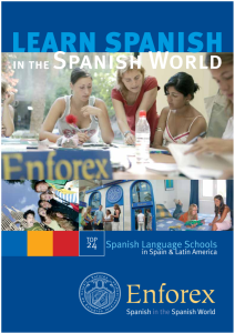 ``Rich Results on Google's SERP when searching for 'Learn Spanish In The Spanish World Book'
