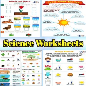 ``Rich Results on Google's SERP when searching for ''Science Worksheets for Grade 1''
