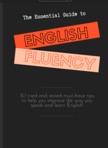``Rich Results on Google's SERP when searching for ''The Essential Guide to English Fluency''