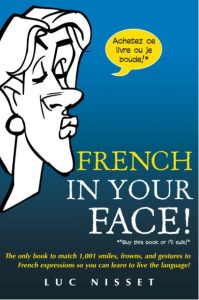 ``Rich Results on Google's SERP when searching for ''French in Your Face The Only Book to Match 1,001 Smiles, Frowns, and Gestures to French Expressions So You Can Learn to Live…''