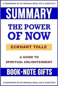 Summary The Power of Now